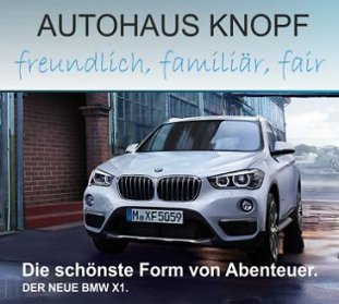 Ausschnitt_Spiegelanhaenger.jpg